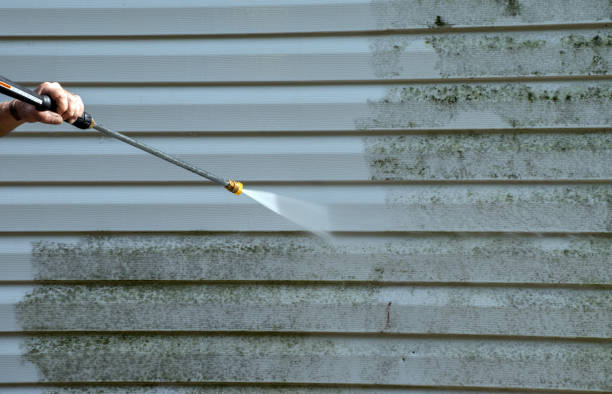 Best Fence Cleaning  in Redway, CA